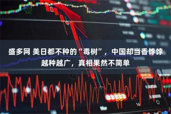 盛多网 美日都不种的“毒树”，中国却当香饽饽越种越广，真相果然不简单