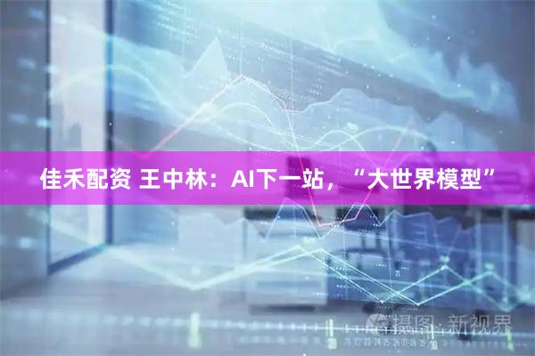 佳禾配资 王中林：AI下一站，“大世界模型”