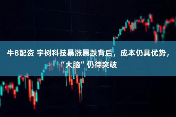 牛8配资 宇树科技暴涨暴跌背后，成本仍具优势，“大脑”仍待突破