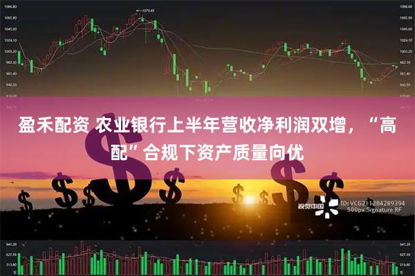 盈禾配资 农业银行上半年营收净利润双增，“高配”合规下资产质量向优